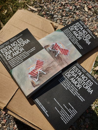 ESTA NO ES UNA HISTORIA DE AMOR con retiro personal Caba y La Plata 