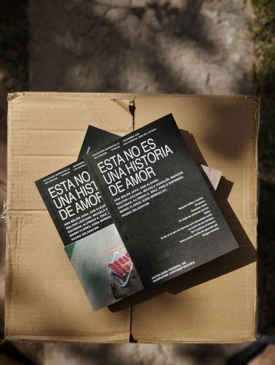 ESTA NO ES UNA HISTORIA DE AMOR con envío a cualquier punto del país 