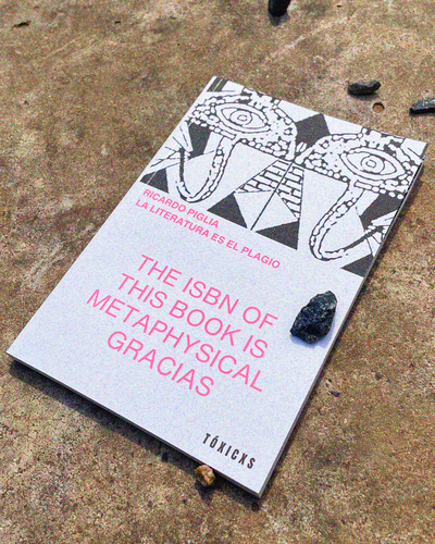La literatura es el plagio 