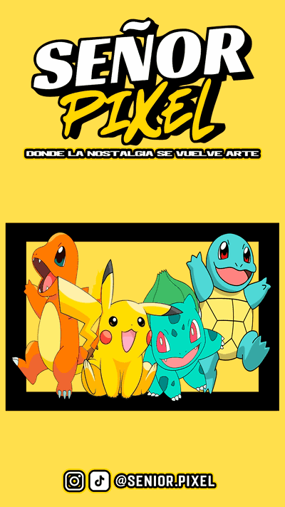 "Pokemon" Cuadro Anigamer
