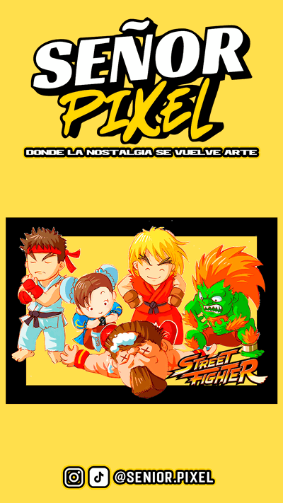 "Street Fighter" Cuadro Anigamer