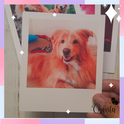 Fotos polaroid