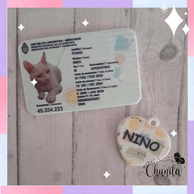 Dni+ Chapita