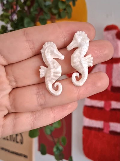 Aros Caballito de Mar