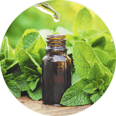 ACEITE ESENCIAL MELISA 15 ML