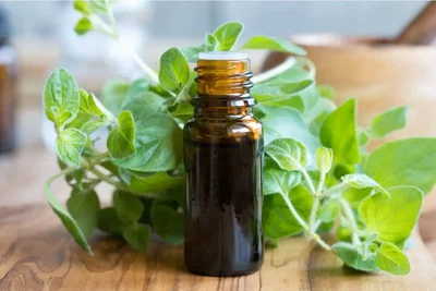ACEITE ESENCIAL OREGANO 15 ML
