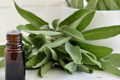 ACEITE ESENCIAL SALVIA 15 ML