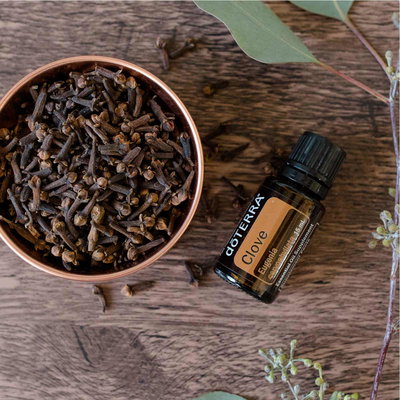 ACEITE ESENCIAL CLAVO DE OLOR 15 ML