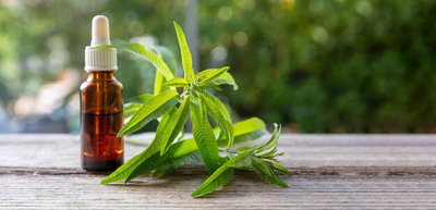 ACEITE ESENCIAL VERBENA 15 ML