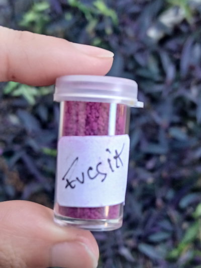 Colorante para velas en polvo Fucsia