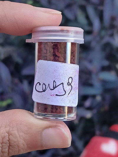 Colorante para velas EN POLVO cereza