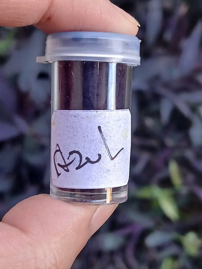 Colorante para velas en polvo Azul