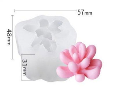Molde suculenta modelo 1