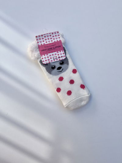 Pantumedias - Mapache