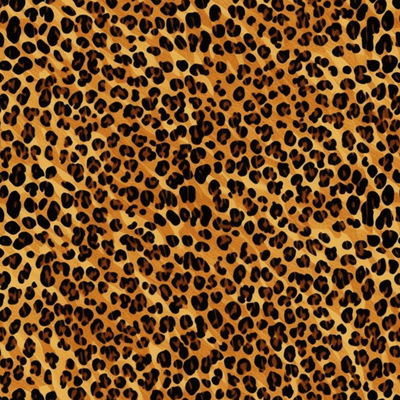 Animal Print 081