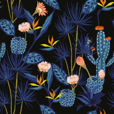Cactus 032