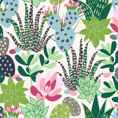 Cactus 039