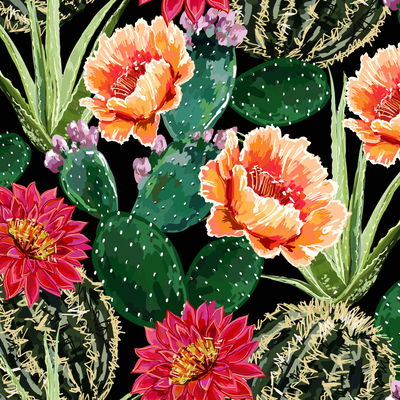 Cactus 033