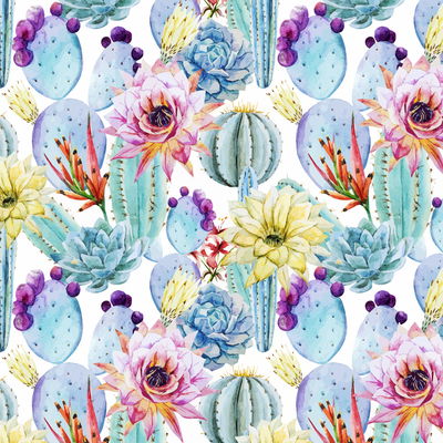Cactus 037