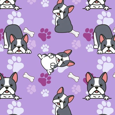 Perros 062