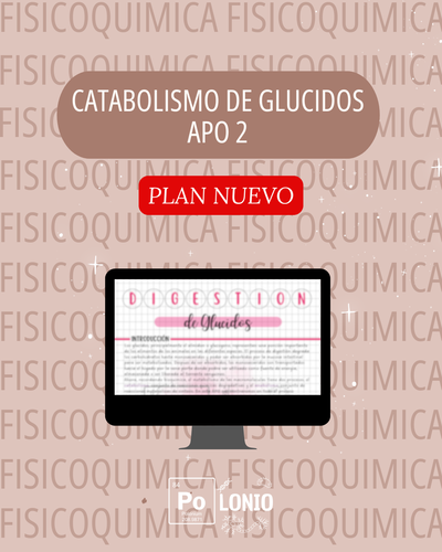 FAFV: APO 2 (PLAN NUEVO)
