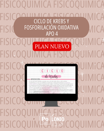 FAFV: APO 4 (PLAN NUEVO)