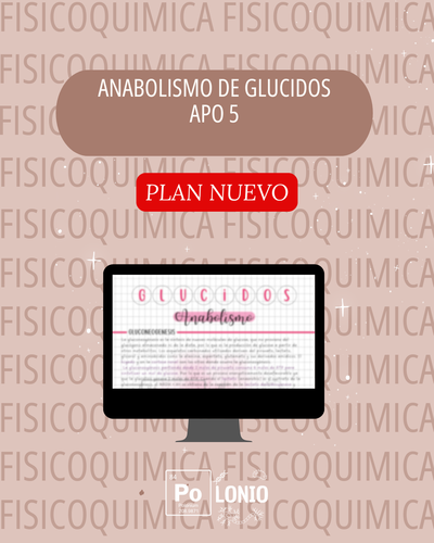 FAFV: APO 5 (PLAN NUEVO)
