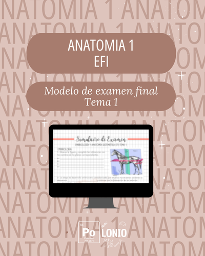 Anato 1: Modelo de EFI 