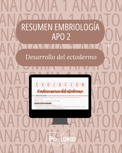 Embriología: Resumen APO 2
