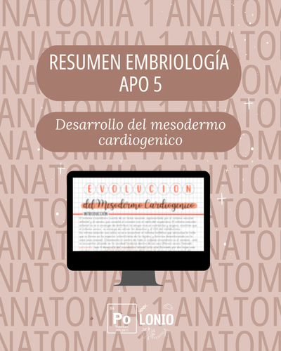 Embriología: Resumen APO 5