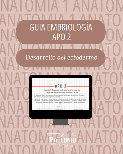 Embriología: Guia de actividades APO 2