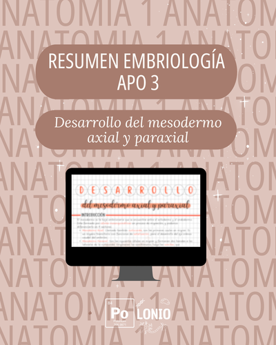 Embriología: Resumen APO 3