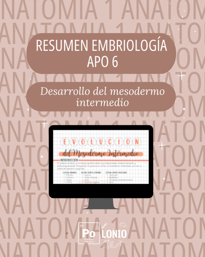 Embriología: Resumen APO 6