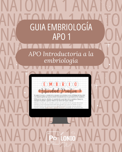 Embriología: Guia de actividades APO 1