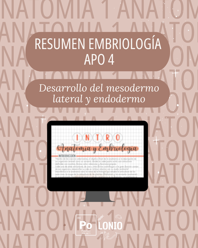 Embriología: Resumen APO 4