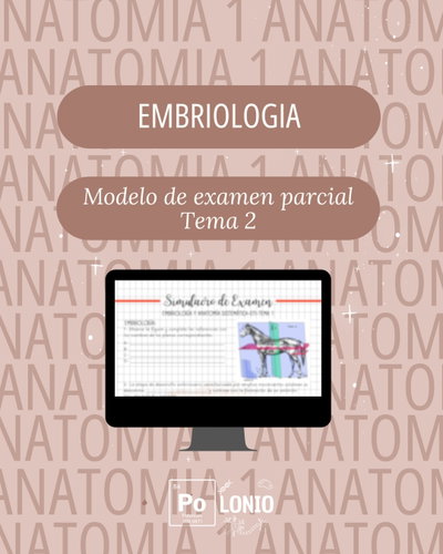 Embriologia: Modelo de parcial T2