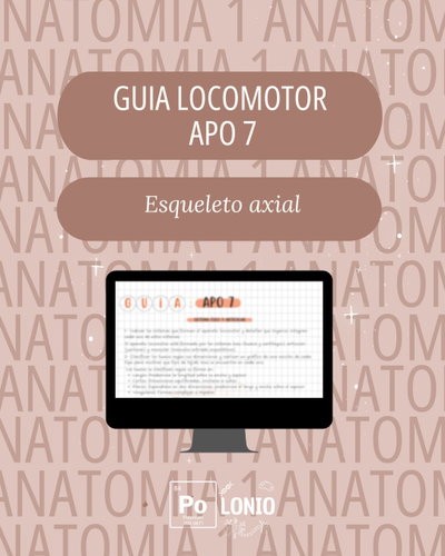 Locomotor: Guia APO ''Osteología y artrología del esqueleto axial''