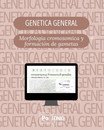 Genetica general: Morfologia cromosomica y formación de gametas