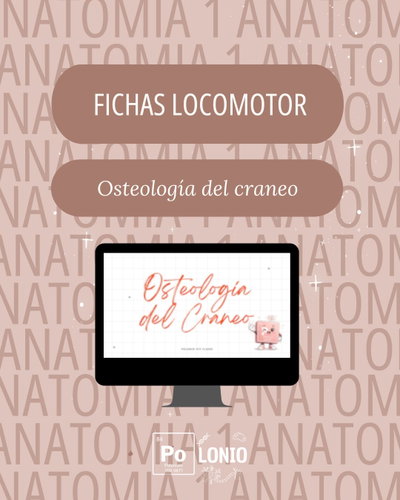 Locomotor: Flashcards APO Osteologia y artrologia de la cabeza