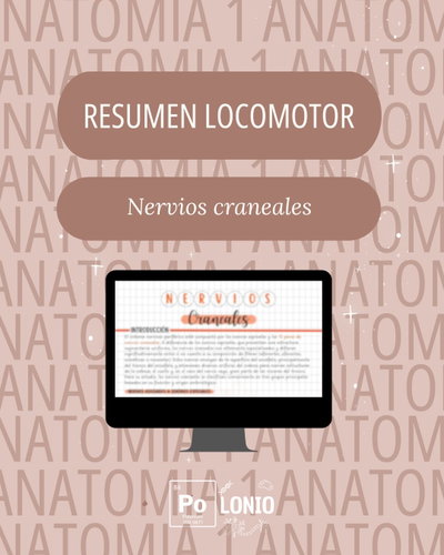 Locomotor: Resumen APO ''Nervios craneales''