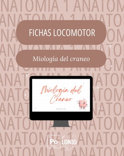 Locomotor: Flashcards APO Miologia de la cabeza