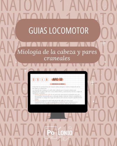 Locomotor: Guia APO ''Miologia de la cabeza y pares craneales''