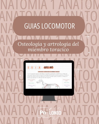 Locomotor: Guia APO ''Osteologia y artrologia del miembro toracico"