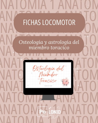 Locomotor: Flashcards APO Osteologia y artrologia del miembro toracico