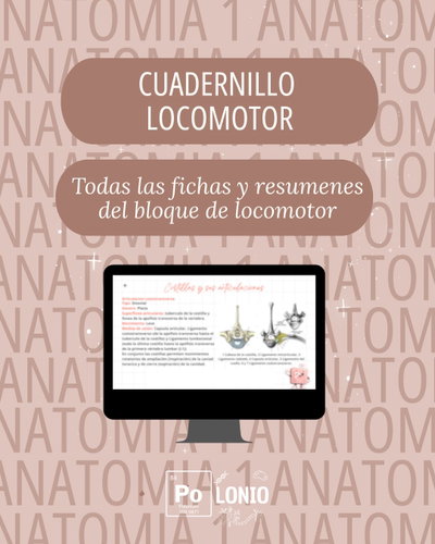 Locomotor: Cuadernillo de todo el bloque de Locomotor
