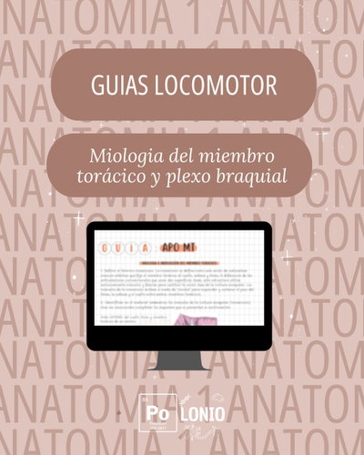 Locomotor: Guia APO ''Miologia e inervacion  del miembro toracico"