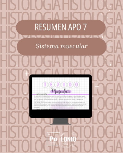 APO 7: Sistema muscular