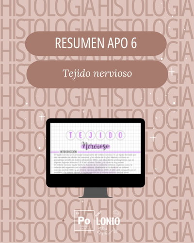 APO 6: Sistema nervioso