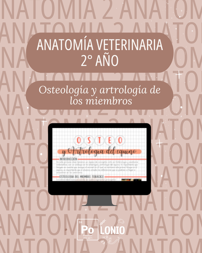 Anatomía Veterinaria ''Osteología y artrología de los miembros''