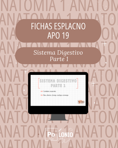 Esplacnología: Flashcards APO 19